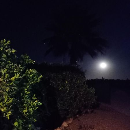 La Buganvilla, Descanso Entre Olivares 奥尔纳丘埃洛斯 外观 照片
