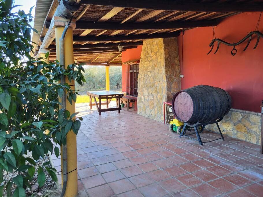 La Buganvilla, Descanso Entre Olivares 奥尔纳丘埃洛斯 外观 照片