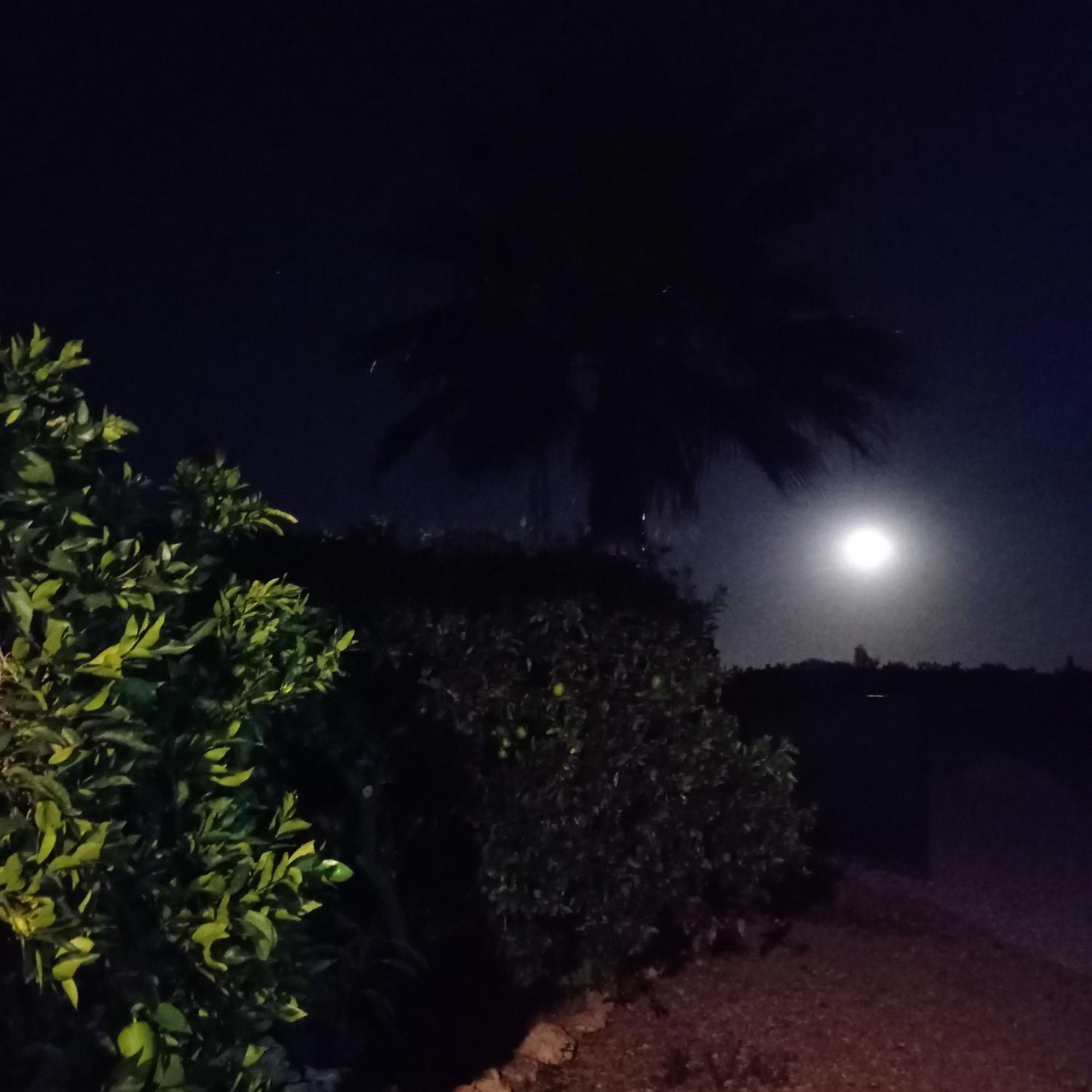La Buganvilla, Descanso Entre Olivares 奥尔纳丘埃洛斯 外观 照片