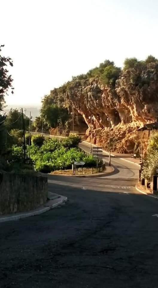 La Buganvilla, Descanso Entre Olivares 奥尔纳丘埃洛斯 外观 照片