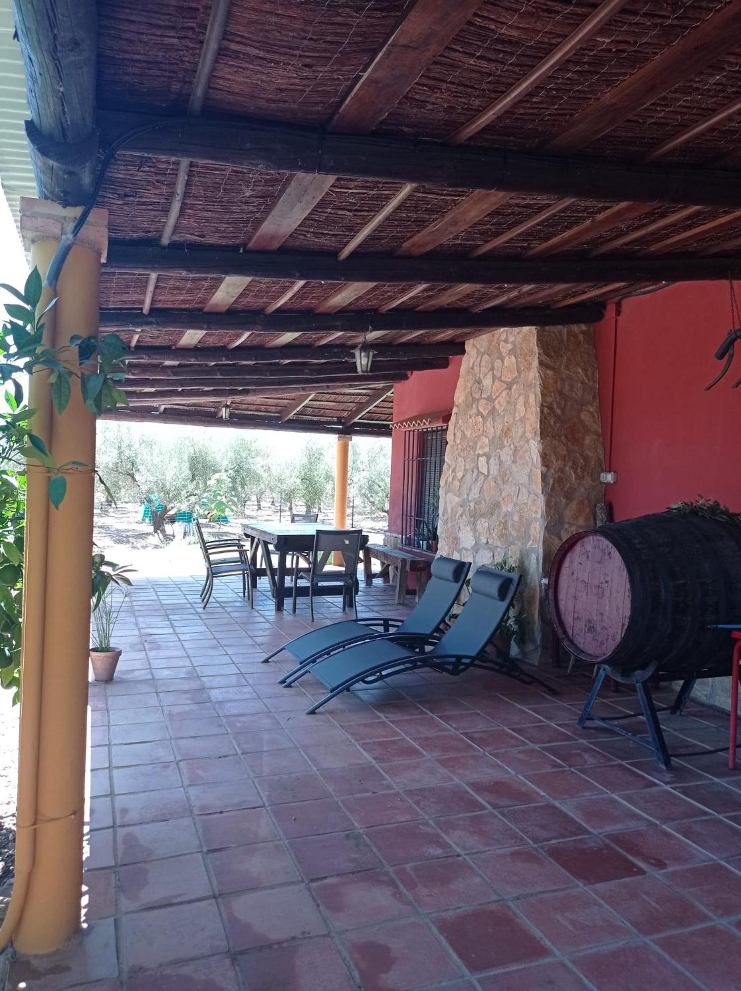 La Buganvilla, Descanso Entre Olivares 奥尔纳丘埃洛斯 外观 照片